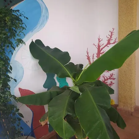 Casa de Férias Enjoy Fuerteventura *